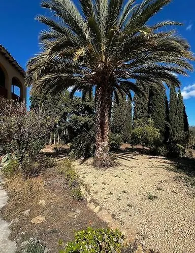Con Piscina Privada